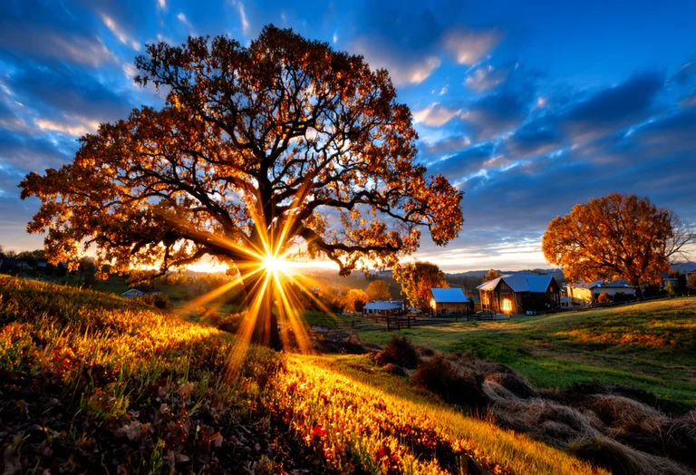 A majestic oak tree with golden autumn leaves is silhouetted against